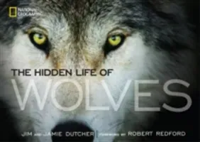 The Hidden Life of Wolves (Dutcher Jamie)(Pevná vazba)