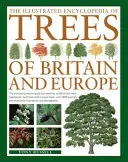 The Illustrated Encyclopedia of Trees of Britain and Europe: The Ultimate Reference Guide and Identifier to 550 of the Most Spectacular, Best-Loved an (Russell Tony)(Paperback)