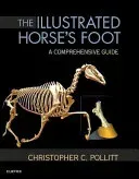 The Illustrated Horse's Foot: A Comprehensive Guide (Pollitt Christopher C.)(Pevná vazba)