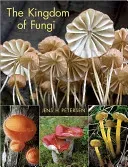 The Kingdom of Fungi (Petersen Jens H.)(Pevná vazba)