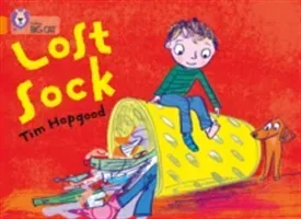 The Lost Sock (Hopgood Tim)(Paperback)