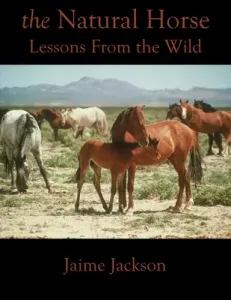 The Natural Horse: Lessons From the Wild (Jackson Jaime)(Paperback)