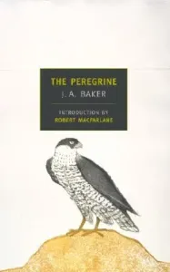 The Peregrine (Baker J. A.)(Paperback)