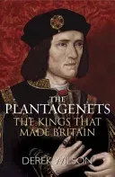 The Plantagenets: The Kings That Made Britain (Wilson Derek)(Paperback)
