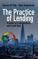 The Practice of Lending: A Guide to Credit Analysis and Credit Risk (Yhip Terence M.)(Pevná vazba)