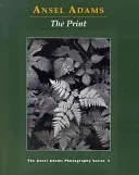 The Print (Baker Robert)(Paperback)