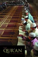 The Qur'an: An Introduction (Saeed Abdullah)(Paperback)