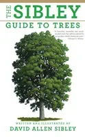 The Sibley Guide to Trees (Sibley David Allen)(Paperback)