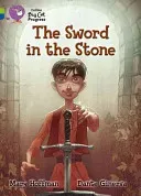 The Sword in the Stone (Hoffman Mary)(Paperback)