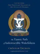The Tantric Path of Indestructible Wakefulness (Trungpa Chgyam)(Pevná vazba)