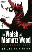 The Welsh at Mametz Wood: The Somme 1916 (Hicks Jonathan)(Paperback)