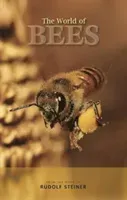 The World of Bees: From the Work of Rudolf Steiner (Steiner Rudolf)(Paperback)