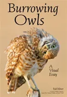The World of Burrowing Owls: A Photographic Essay Exploring Their Behaviors & Beauty (Palmer Rob)(Paperback)