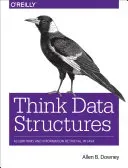 Think Data Structures: Algorithms and Information Retrieval in Java (Downey Allen B.)(Paperback)
