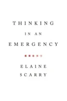 Thinking in an Emergency (Scarry Elaine)(Paperback)
