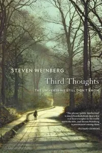 Third Thoughts: The Universe We Still Don't Know (Weinberg Steven)(Paperback)