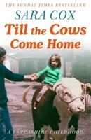 Till the Cows Come Home (Cox Sara)(Paperback)