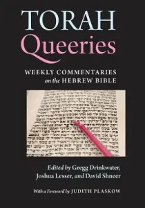 Torah Queeries: Weekly Commentaries on the Hebrew Bible (Drinkwater Gregg)(Paperback)