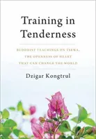 Training in Tenderness: Buddhist Teachings on Tsewa, the Radical Openness of Heart That Can Change the World (Kongtrul Dzigar)(Paperback)