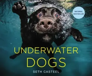 Underwater Dogs (Casteel Seth)(Pevná vazba)