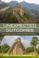 Unexpected Outcomes: How Emerging Economies Survived the Global Financial Crisis (Wise Carol)(Paperback)