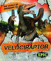 Velociraptor (Sabelko Rebecca)(Library Binding)