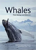 Whales: Their Biology and Behavior (Hammond Phillip)(Paperback)