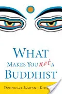 What Makes You Not a Buddhist (Khyentse Dzongsar Jamyang)(Paperback)