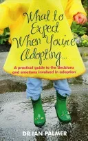 What to Expect When You're Adopting... - A practical guide to the decisions and emotions involved in adoption (Palmer Dr Ian (Author))(Paperback / softback)