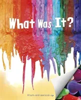 What Was It? (McCurry Kristen)(Paperback / softback)