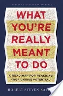 What You're Really Meant to Do: A Road Map for Reaching Your Unique Potential (Kaplan Robert S.)(Pevná vazba)