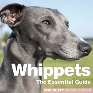 Whippets: The Essential Guide (Duffy Rob)(Paperback)