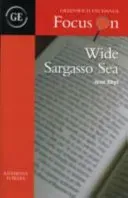 Wide Sargasso Sea by Jean Rhys (Fowles Anthony)(Paperback / softback)