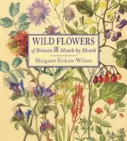 Wild Flowers of Britain: Month by Month (Wilson Margaret Erskine)(Pevná vazba)