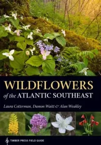Wildflowers of the Atlantic Southeast (Cotterman Laura)(Paperback)
