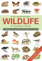 Wildlife of Southern Africa: A Field Guide to the Animals and Plants of the Region (Carruthers Vincent)(Paperback)