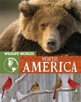Wildlife Worlds: North America (Harris Tim)(Paperback / softback)