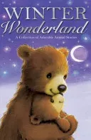 Winter Wonderland (Various Authors)(Paperback / softback)