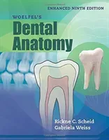 Woelfel's Dental Anatomy, Enhanced Edition (Scheid Rickne C.)(Paperback)