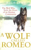 Wolf Called Romeo (Jans Nick)(Paperback / softback)