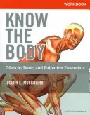 Workbook for Know the Body: Muscle, Bone, and Palpation Essentials (Muscolino Joseph E.)(Paperback)