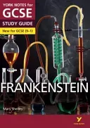 York Notes for GCSE (9-1): Frankenstein STUDY GUIDE - Everything you need to catch up, study and prepare for 2021 assessments and 2022 exams (Fairbairn-Dixon Alexander)(Paperback / softback)