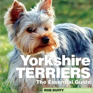 Yorkshire Terriers: The Essential Guide (Duffy Robert)(Paperback)