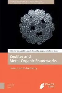 Zeolites and Metal-Organic Frameworks: From Lab to Industry (Blay Vincent)(Pevná vazba)