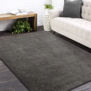 Stylový koberec v tmavě šedé barvě #4506006