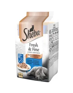 SHEBA Fresh&Fine Mini Rybí výběr v omáčce 72x50g