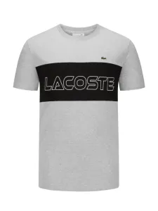 Nadměrná velikost: Lacoste, Tričko s vyšitým logem a potiskem Světle šedá