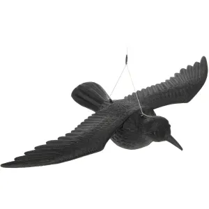 PROHOME - Plašič Vrána závěsná 40x57,5cm