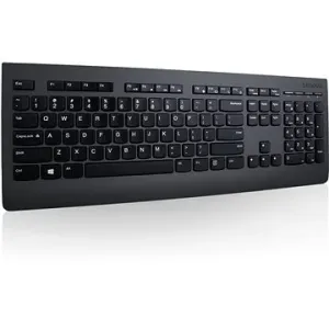 Lenovo Professional Wireless Keyboard and Mouse - SK