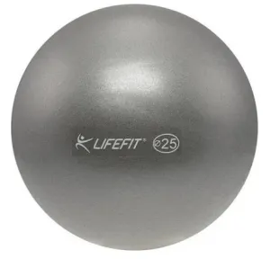 LifeFit Overball 25cm, stříbrný míč